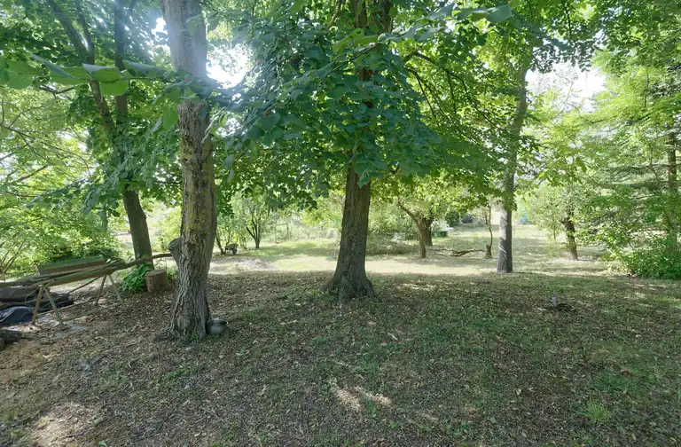 Allée verdoyante vers le gîte